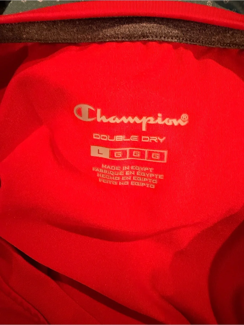 Champion Double Dry Performance Athletic Shirt Red Gray Size Large - Picture 3 of 3